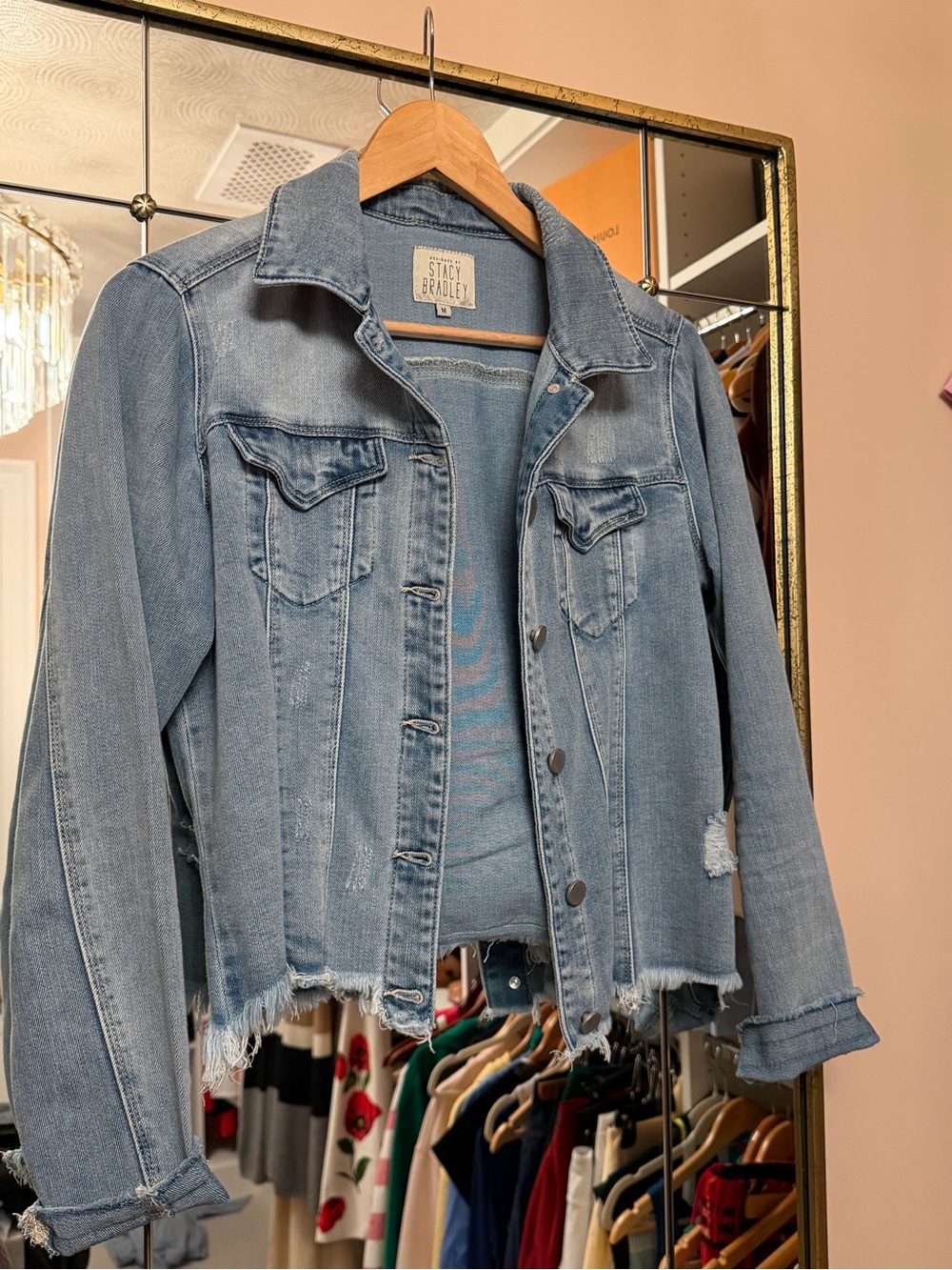 Stacy Bradley Light Blue Distressed Denim Jacket with silk horse trim- size med